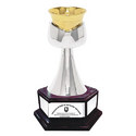 Manufacturers Exporters and Wholesale Suppliers of Trophies Dci-mt01 Delhi Delhi